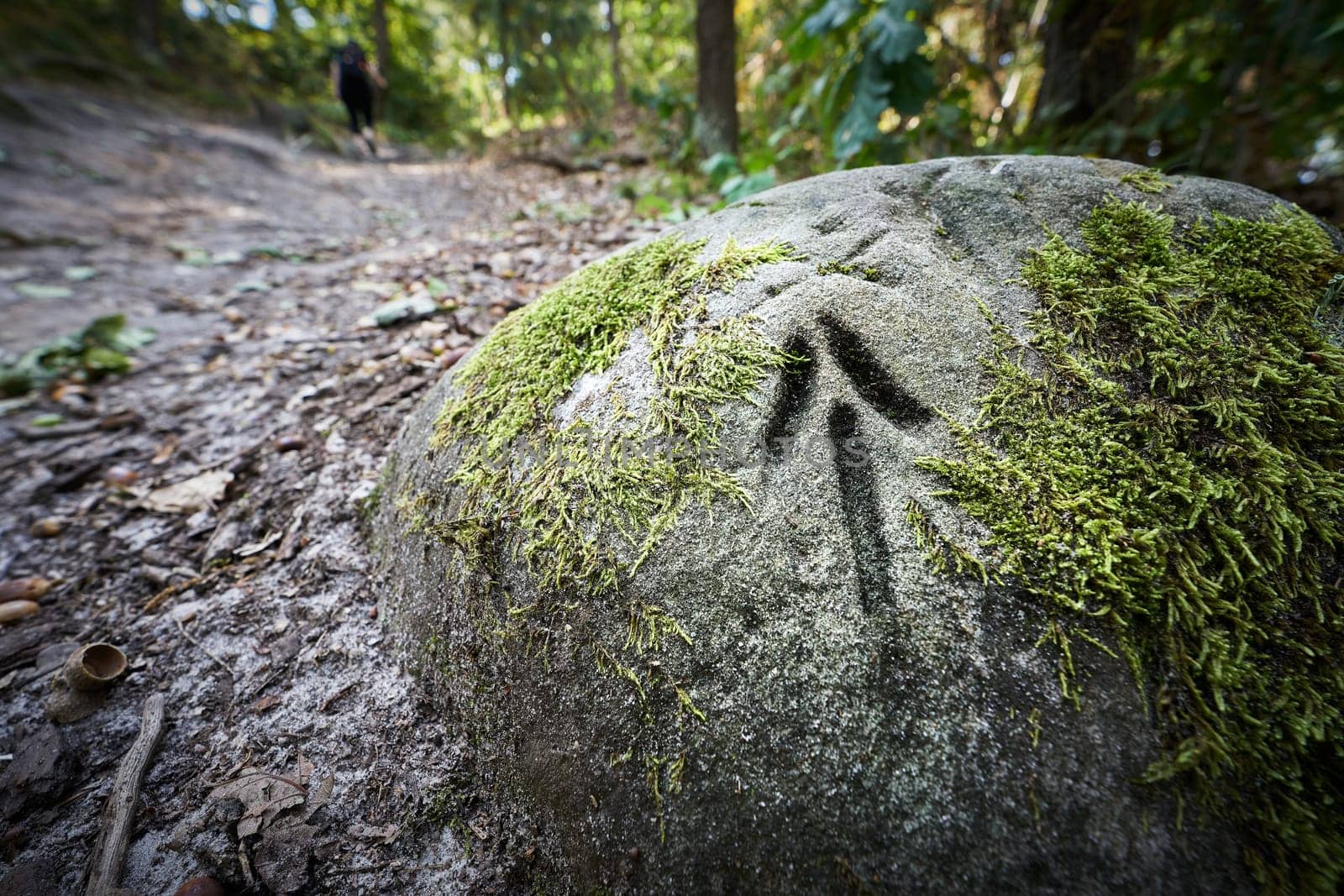 Directional arrow engraved in a stone on the hiking trail to the sand caves near Blankenburg in the Harz Mountains in Germany