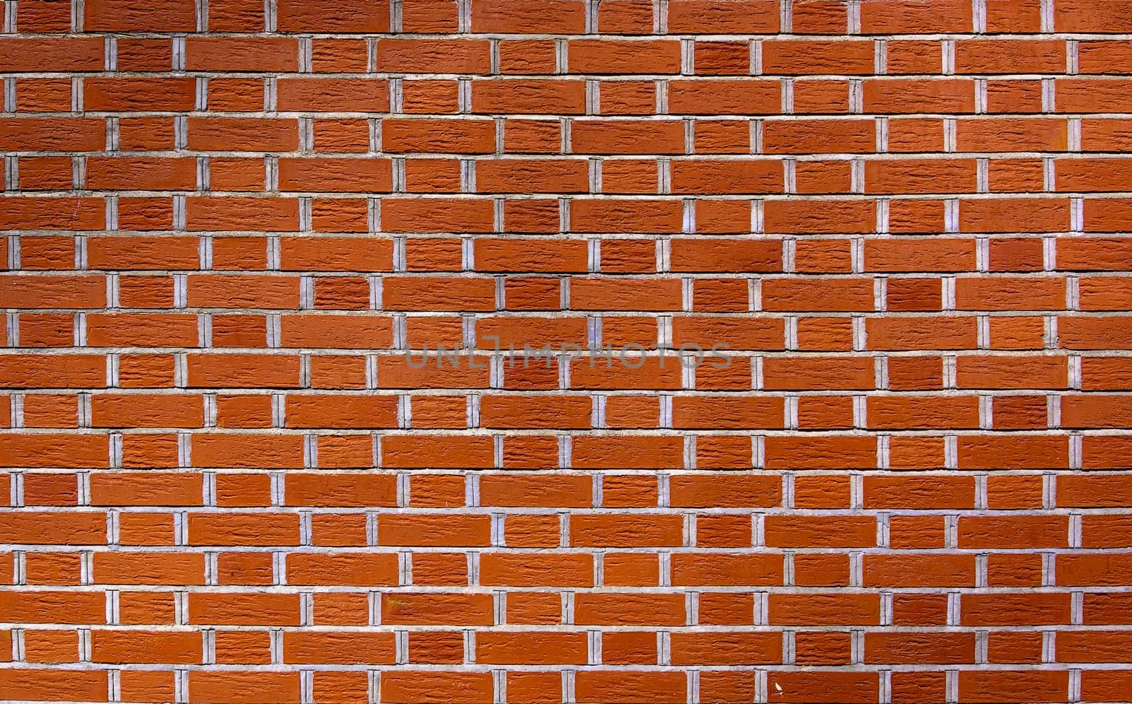 A red brick wall in soft light highlights its warm hues and pattern, creating a cozy backdrop.
