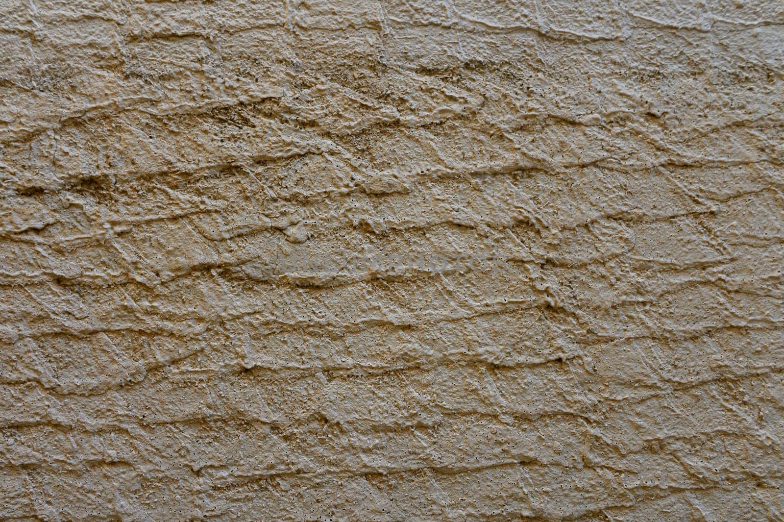 Warm sunlight illuminates the rough texture of an aged wall, showcasing its intricate patterns and earthy tones.