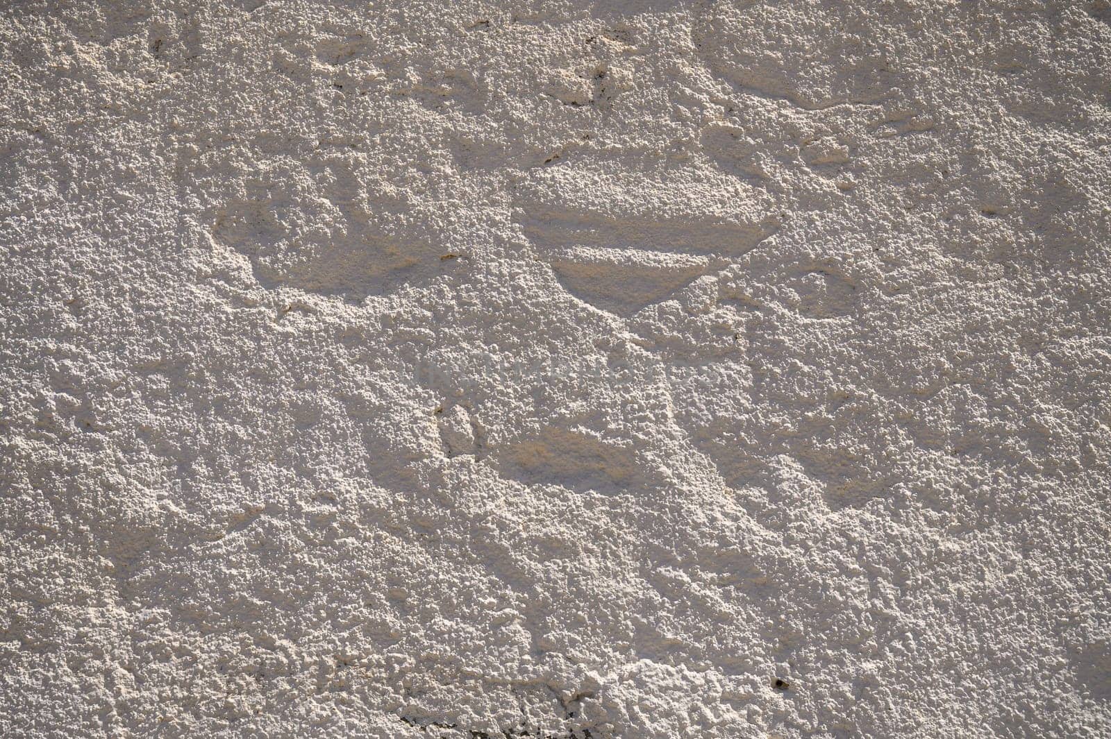 The surface displays unique textures and subtle patterns created by time and weather, bathed in warm sunlight.