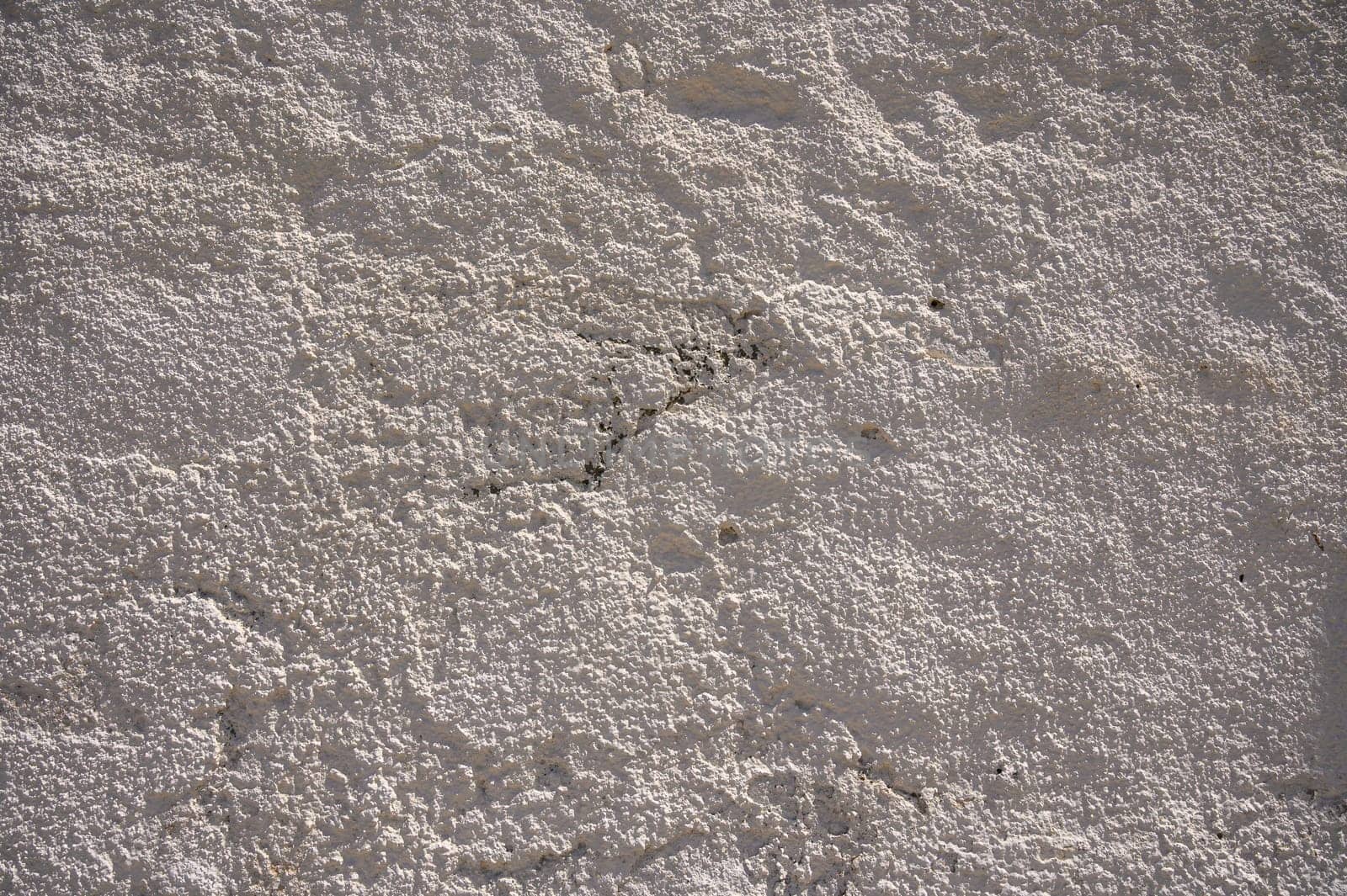 Natural sunlight highlights the unique texture of a white wall, showcasing patterns that evoke a tranquil atmosphere.