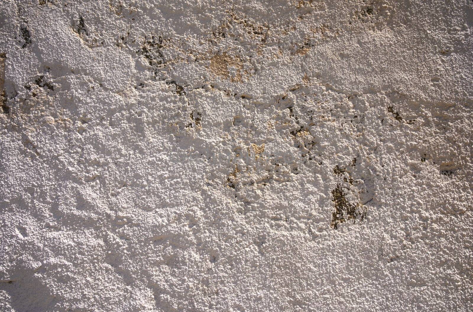Intricate patterns emerge from an aged wall, showcasing a fascinating blend of textures and subtle color variations.