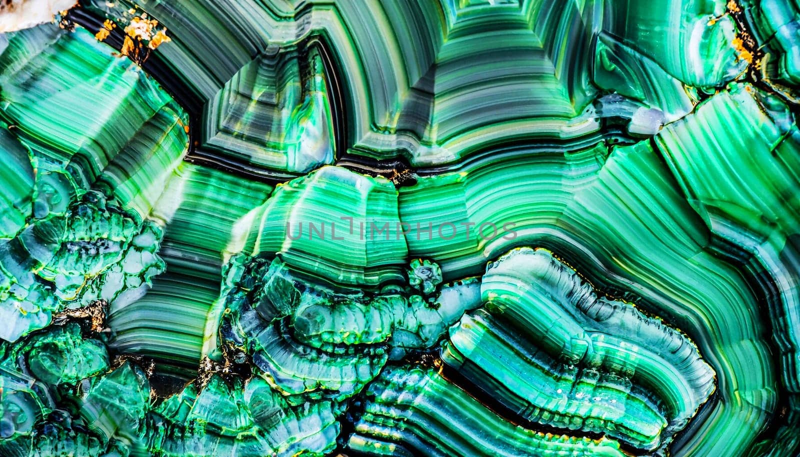 Unusual patterns of the polished malachite gemstone. Abstract green concentric structures