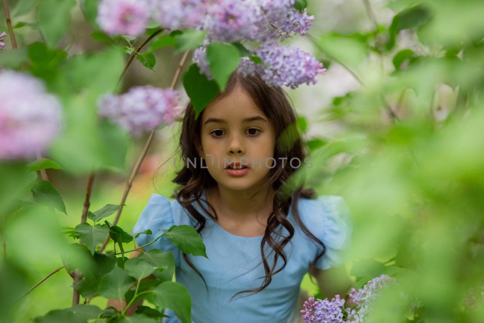 Young caucasian girl in blue dress among lilac blooms in garden.
