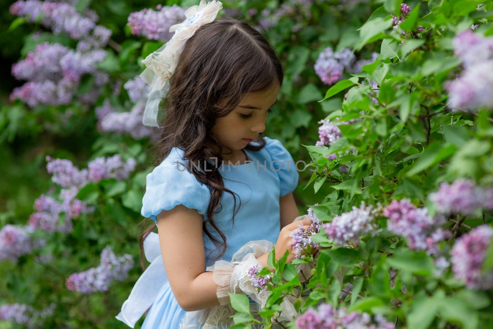 Young caucasian girl in blue dress enjoying lilac garden.