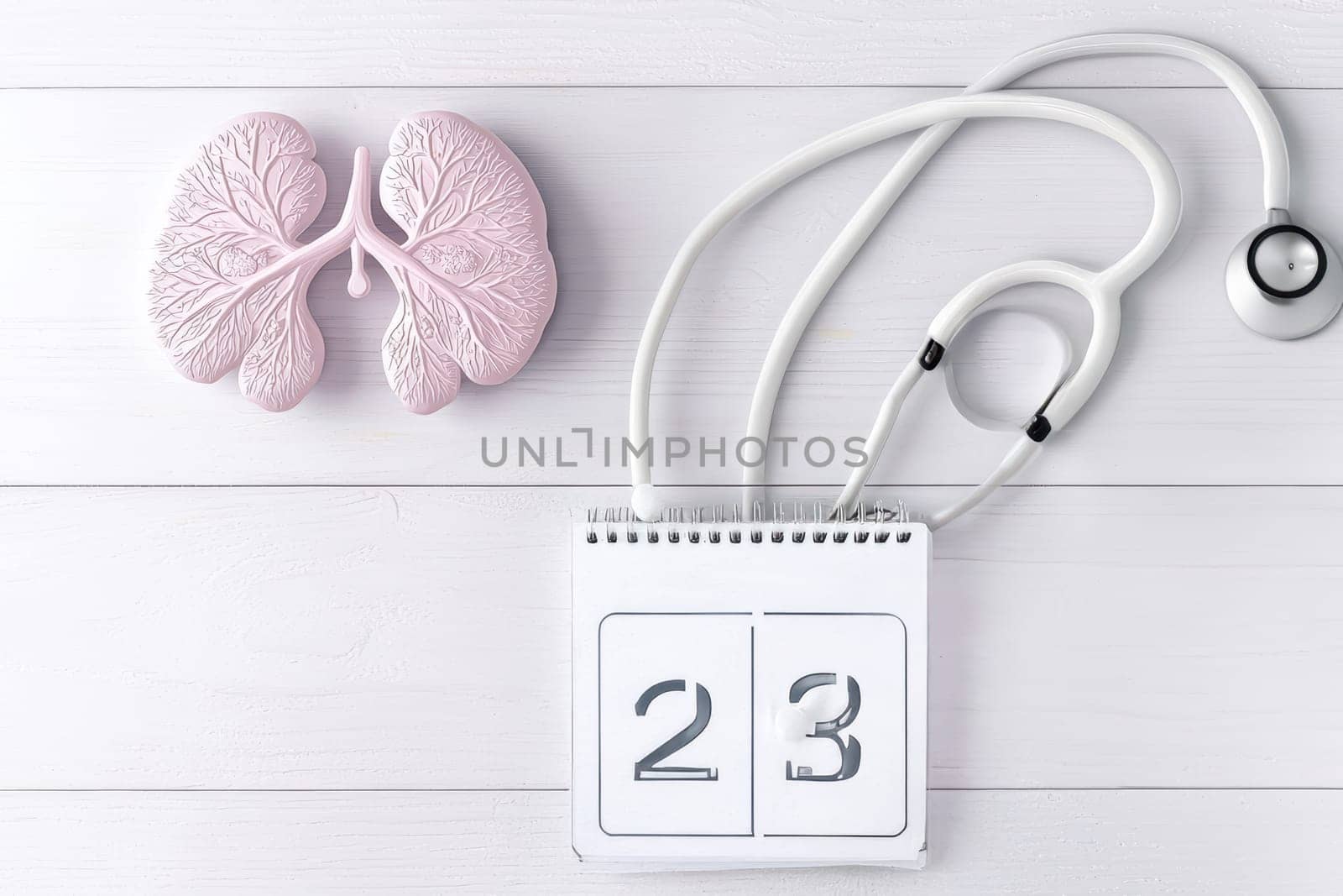 An innovative health concept showcasing a detailed lungs model and stethoscope on a clean white table