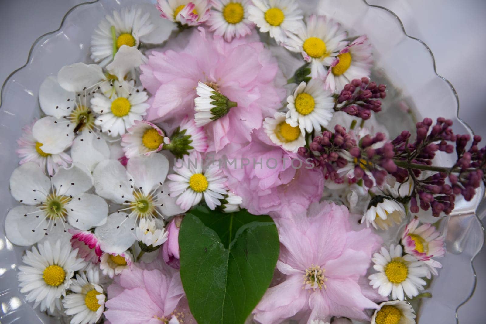 A stunning showcase of vibrant flowers and elegant leaves, ideal for spring themes and joyful celebrations