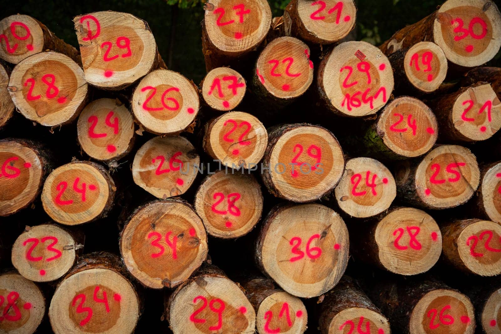 This is a detailed closeup view showcasing stacked tree logs, each displaying distinct red numerical markings