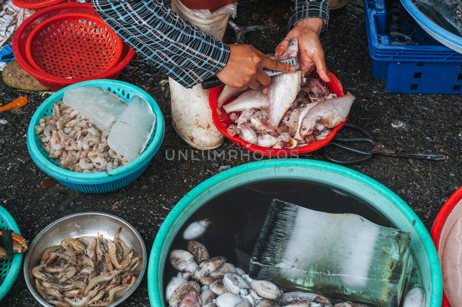 fresh fish and shrimp at Asian Sea food Street Market in Asia in Vietnam