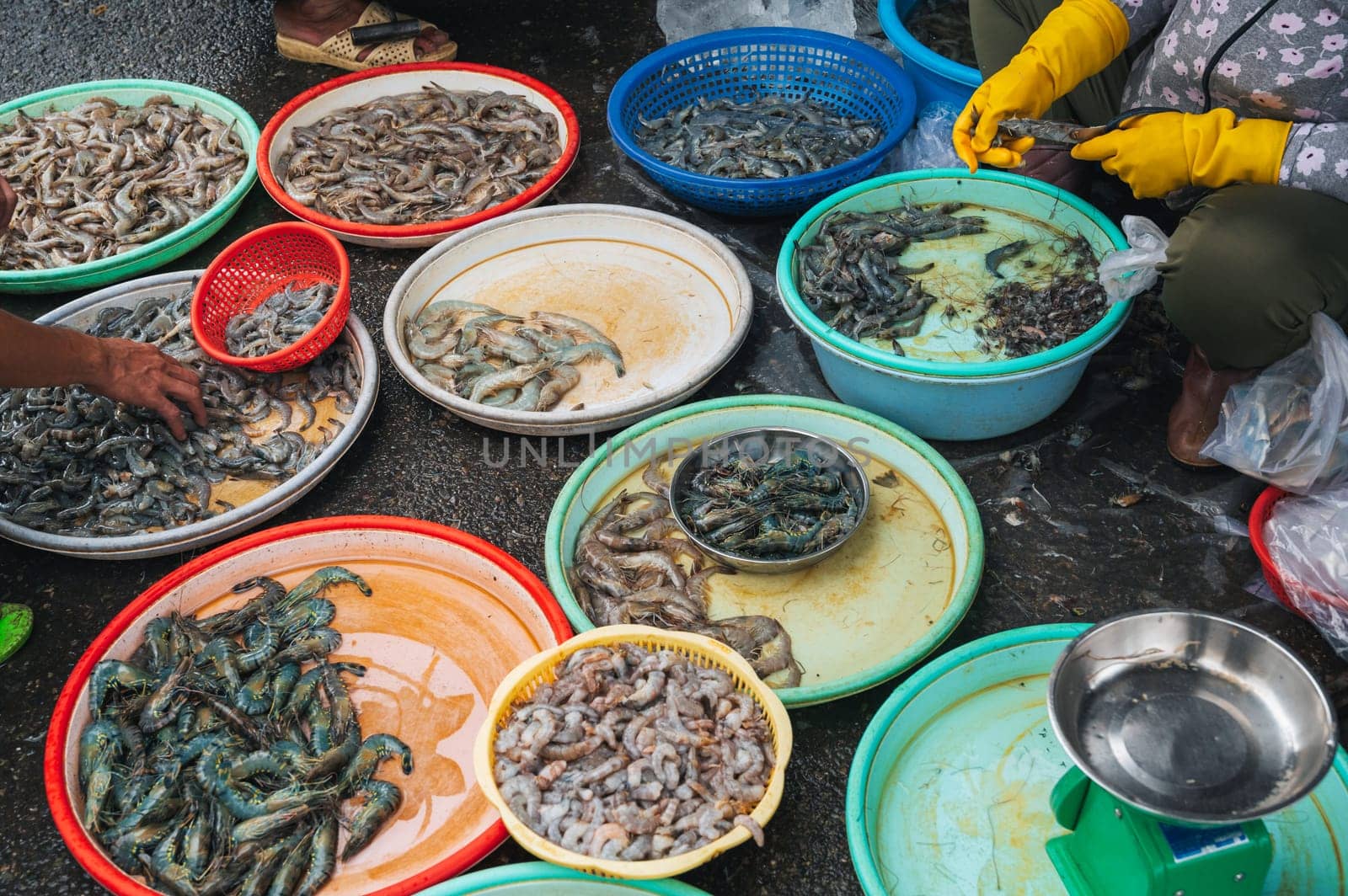 fresh prawns and raw shrimp at the Asian Sea food Street Market in Asia