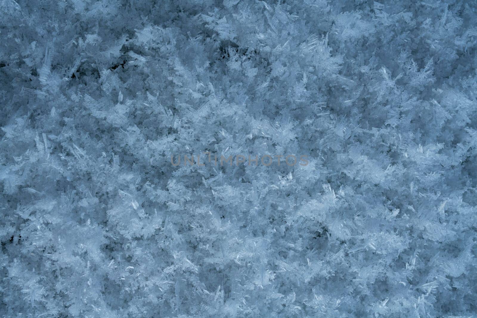 Background of white frozen snowflakes on covered land in cold winter day