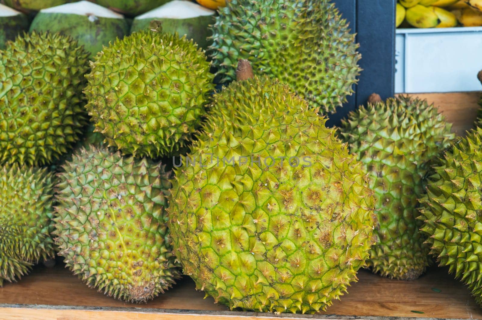 Harvest of ripe durian king fruits on counter at an Asian street market in Thailand close-up