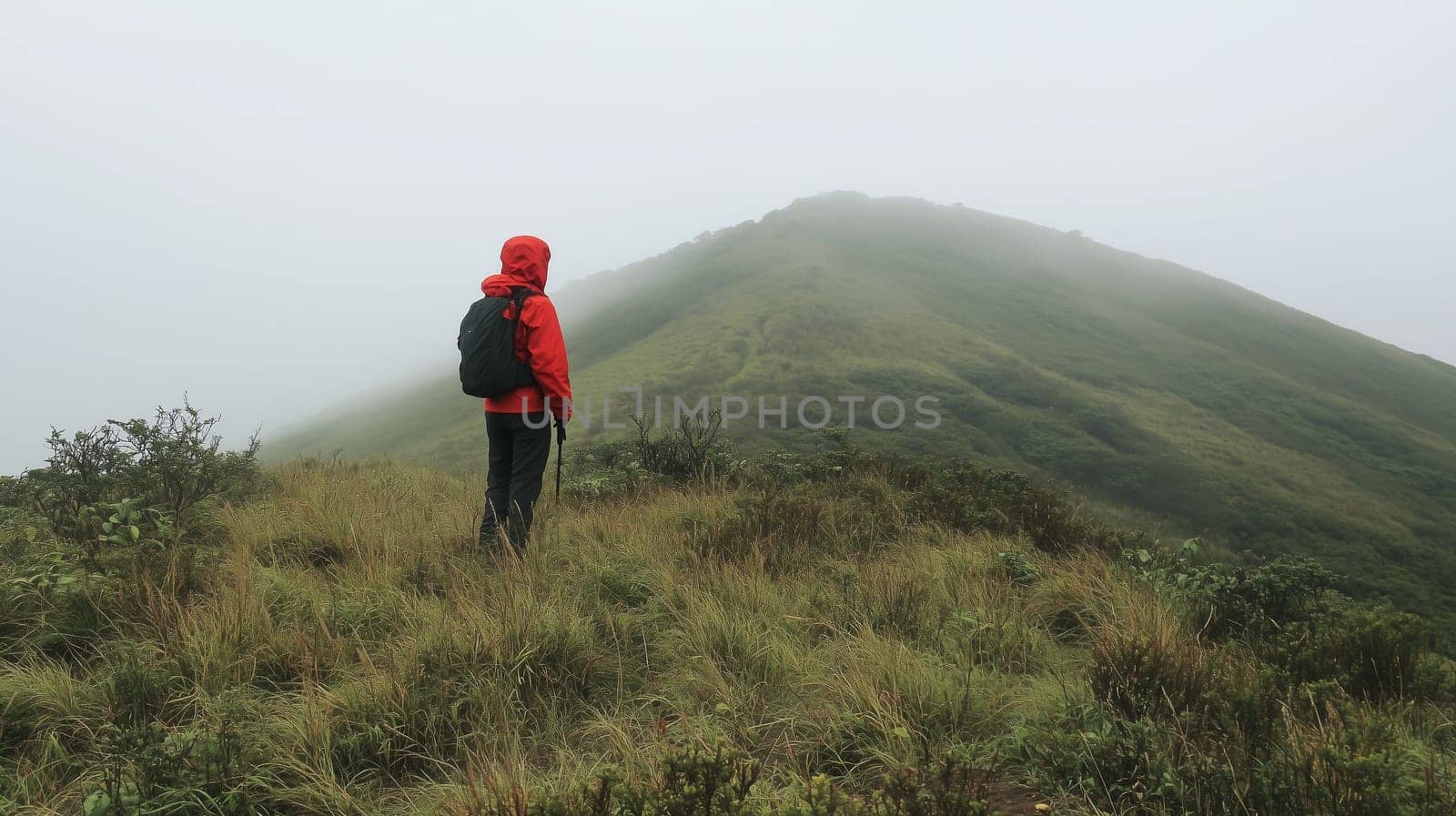 Travel, hiking, adventure, back view of traveler hiker man in red jacket stands on top of mountain looking in to the distance at misty mountain range, morning fog