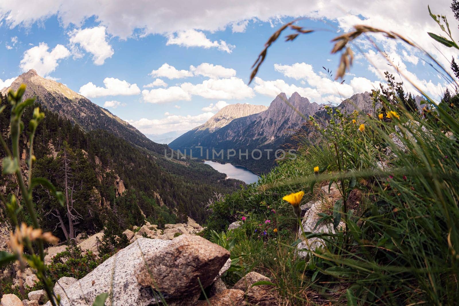 panoramic view of a mountain range with a lake in the valley, the sky is blue and the grass is green