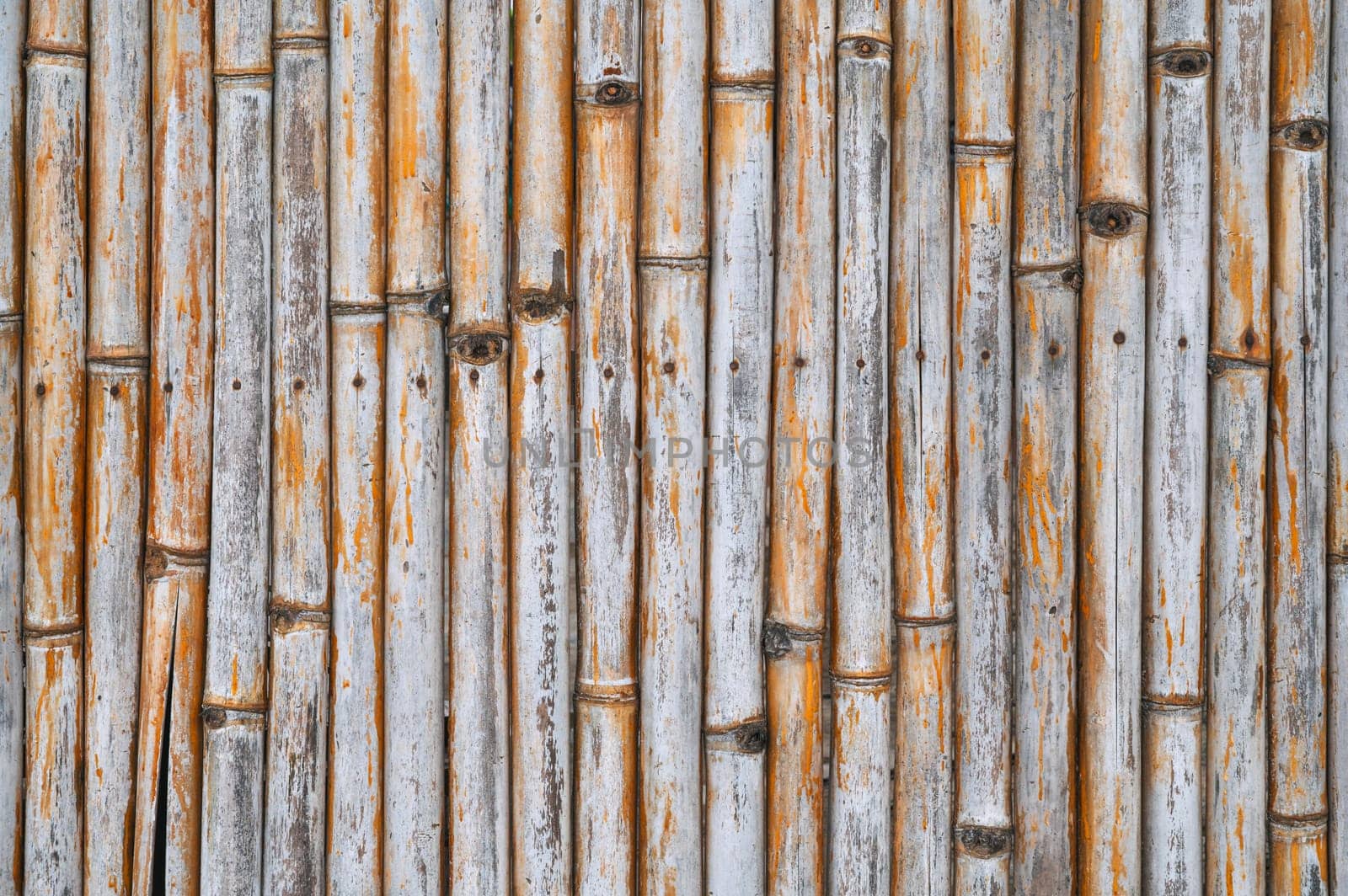 bamboo dry background texture of natural wood sticks