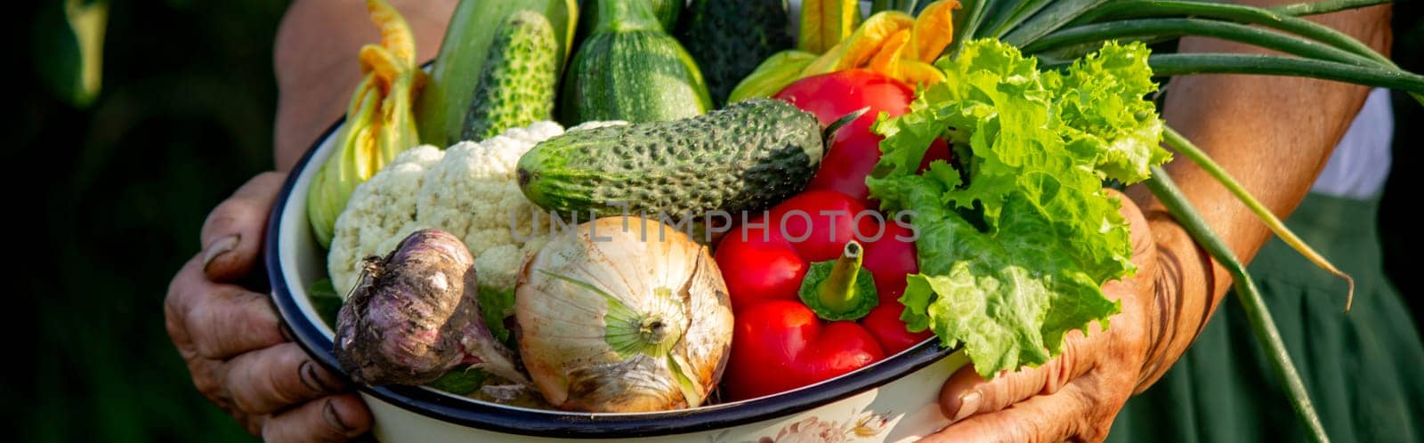 Elderly woman holding a bowl of vegetables on a garden background. Selective focus.