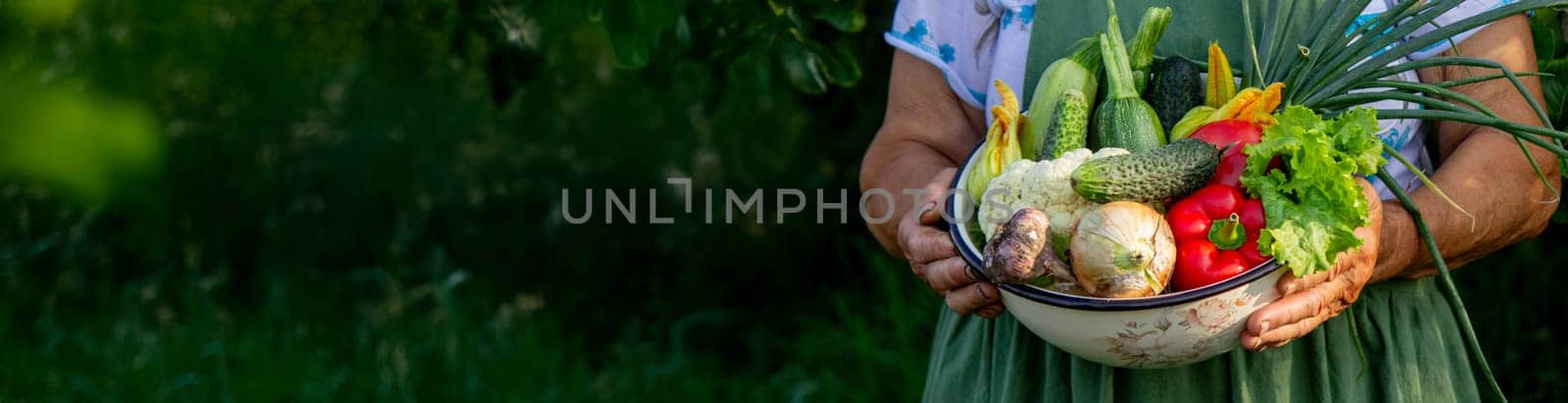 Elderly woman holding a bowl of vegetables on a garden background. Selective focus.