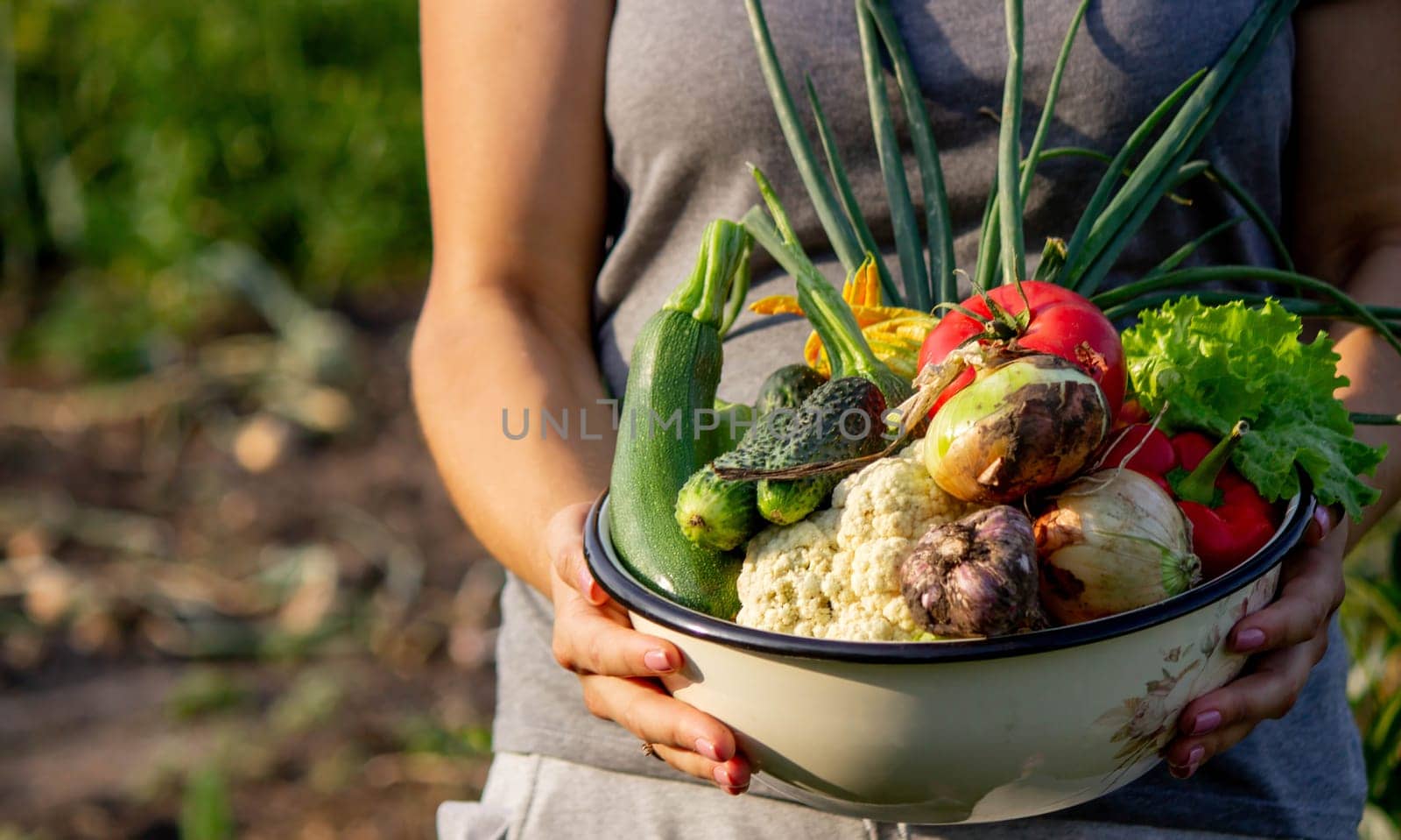 Elderly woman holding a bowl of vegetables on a garden background. Selective focus.