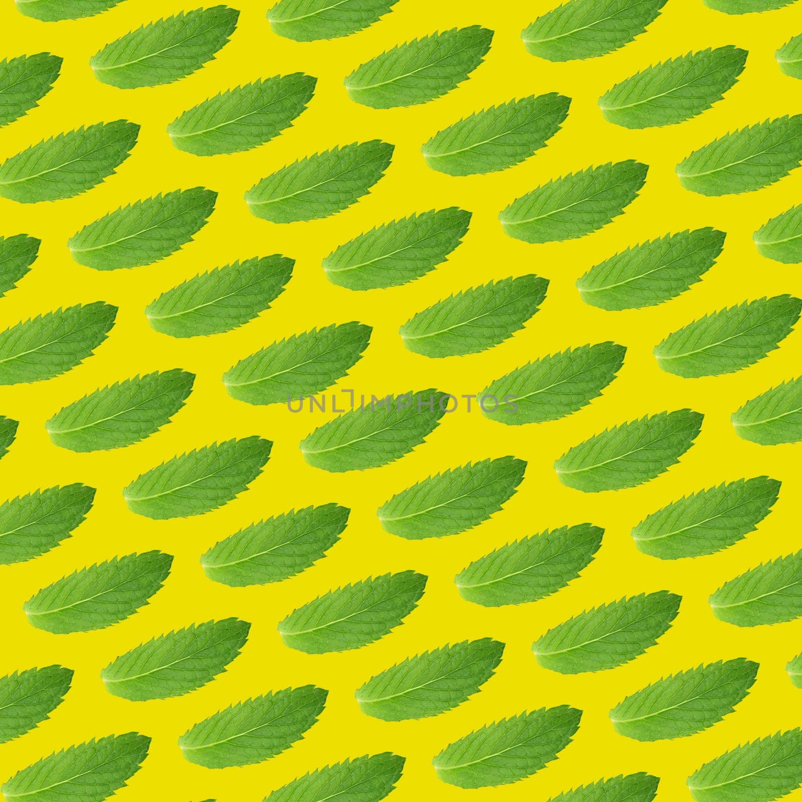 Seamless pattern of green mint leaves on a yellow background