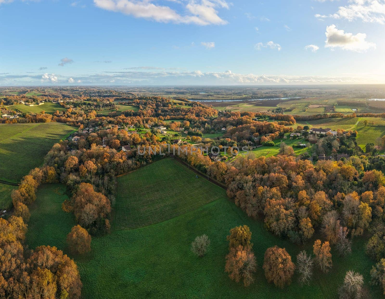 France, Gironde, Tabanac, Aerial view of the vineyard and wooded areas of Chateau le Pic in the Bordeaux vineyards at sunset. High quality photo
