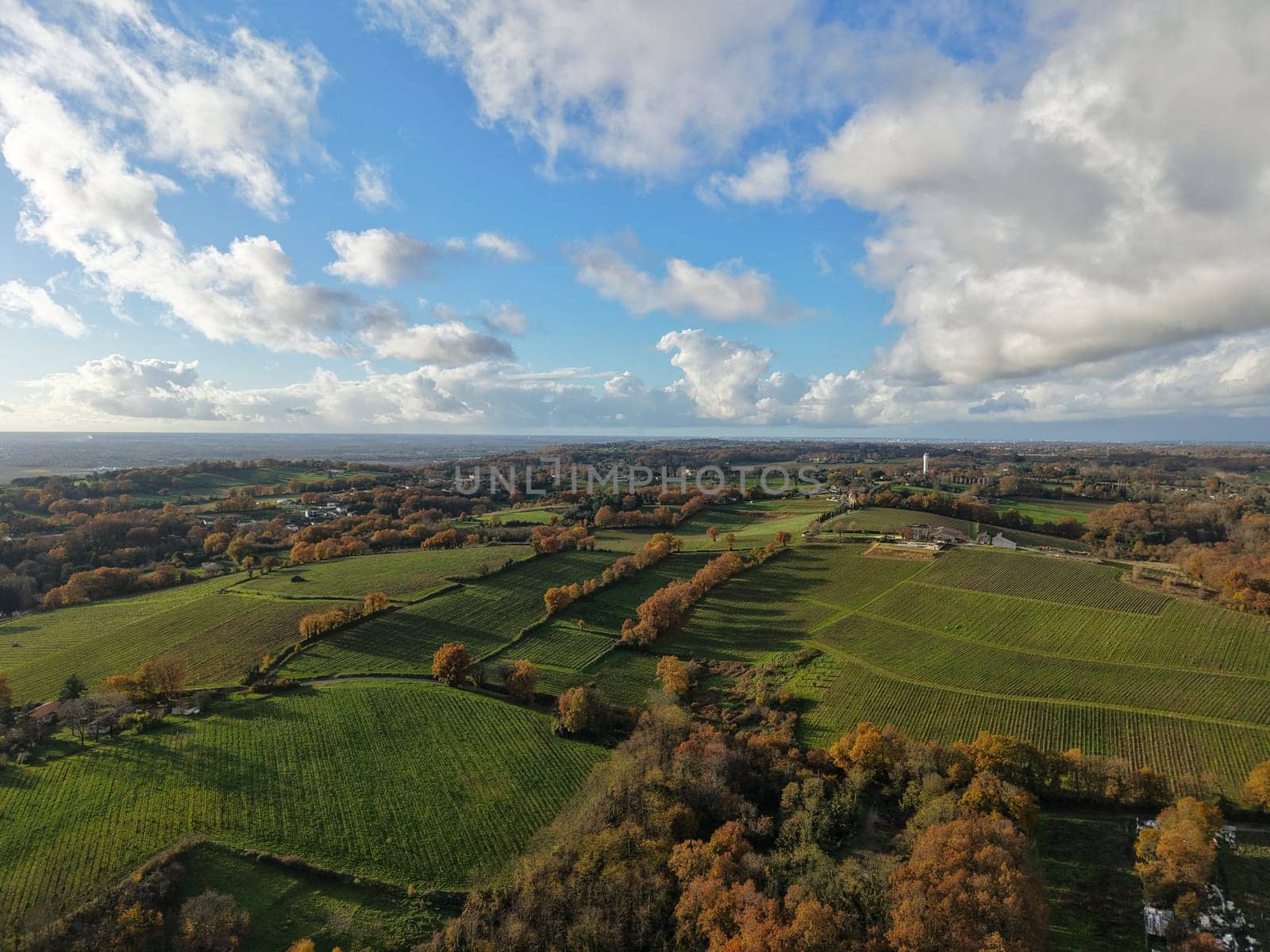 France, Gironde, Tabanac, Aerial view of the vineyard and wooded areas of Chateau le Pic in the Bordeaux vineyards at sunset. High quality photo