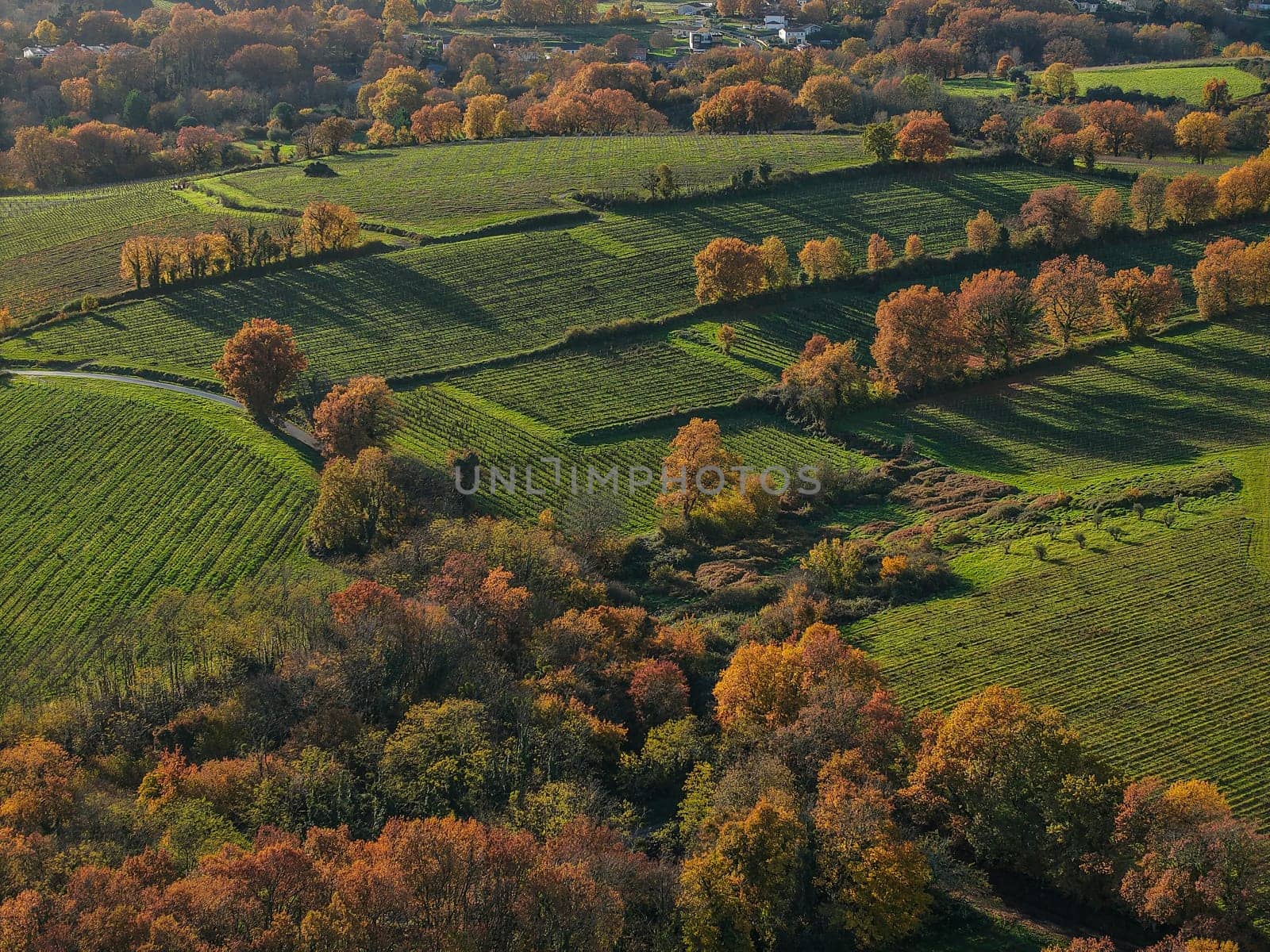 France, Gironde, Tabanac, Aerial view of the vineyard and wooded areas of Chateau le Pic in the Bordeaux vineyards at sunset. High quality photo
