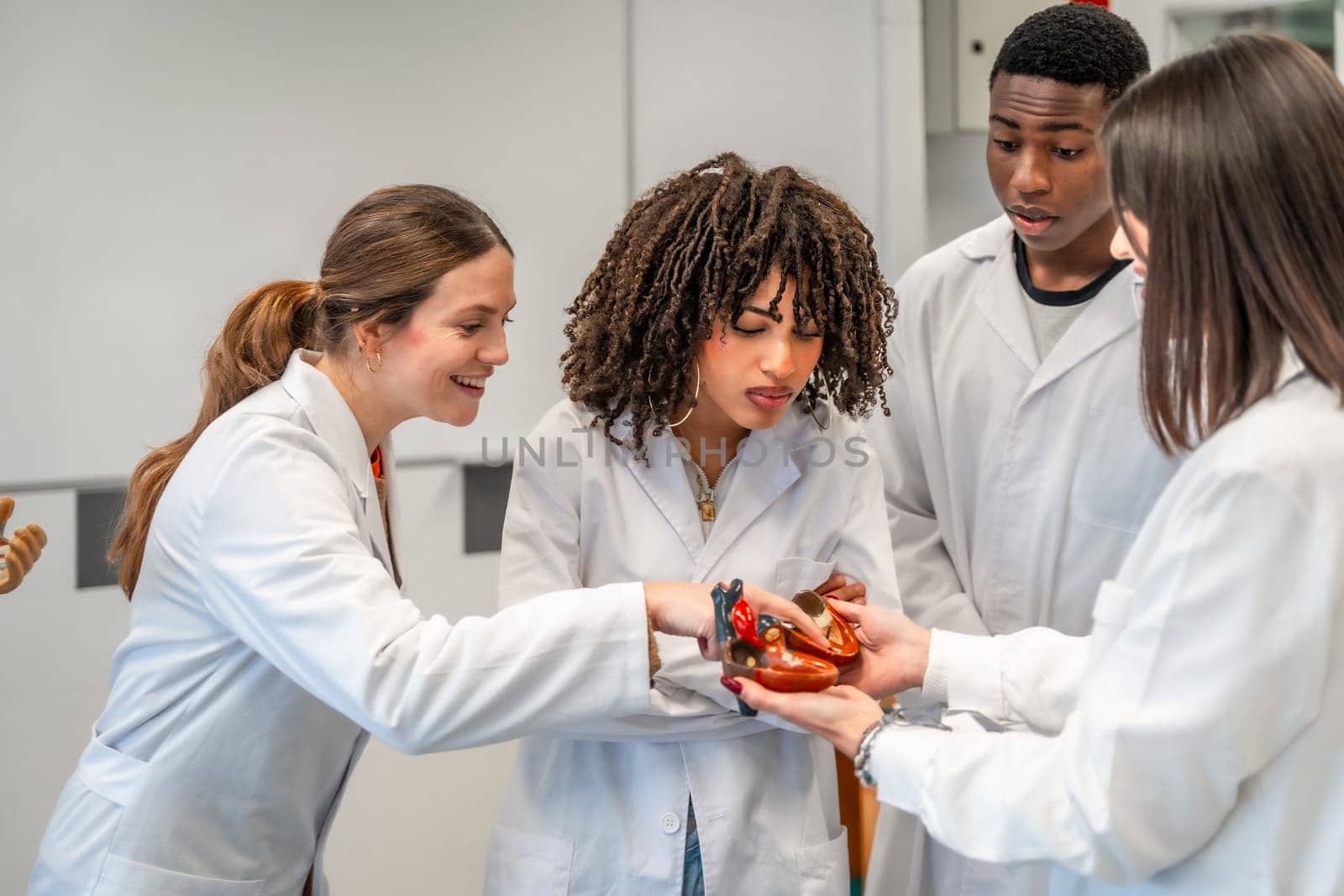 Diverse group of medical students examining a model of a human heart, learning anatomy in a university setting