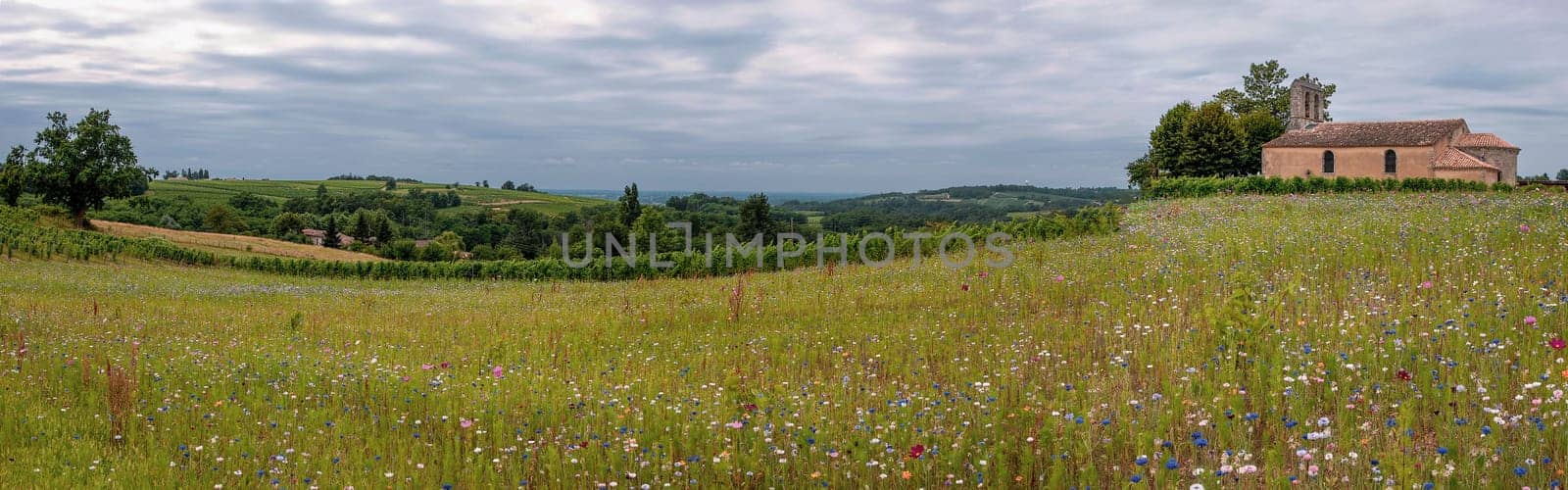 Vignoble Bordelais features a stunning view of rolling fields adorned with wildflowers and a quaint building situated near the Church of Blasimon in Gironde, France.