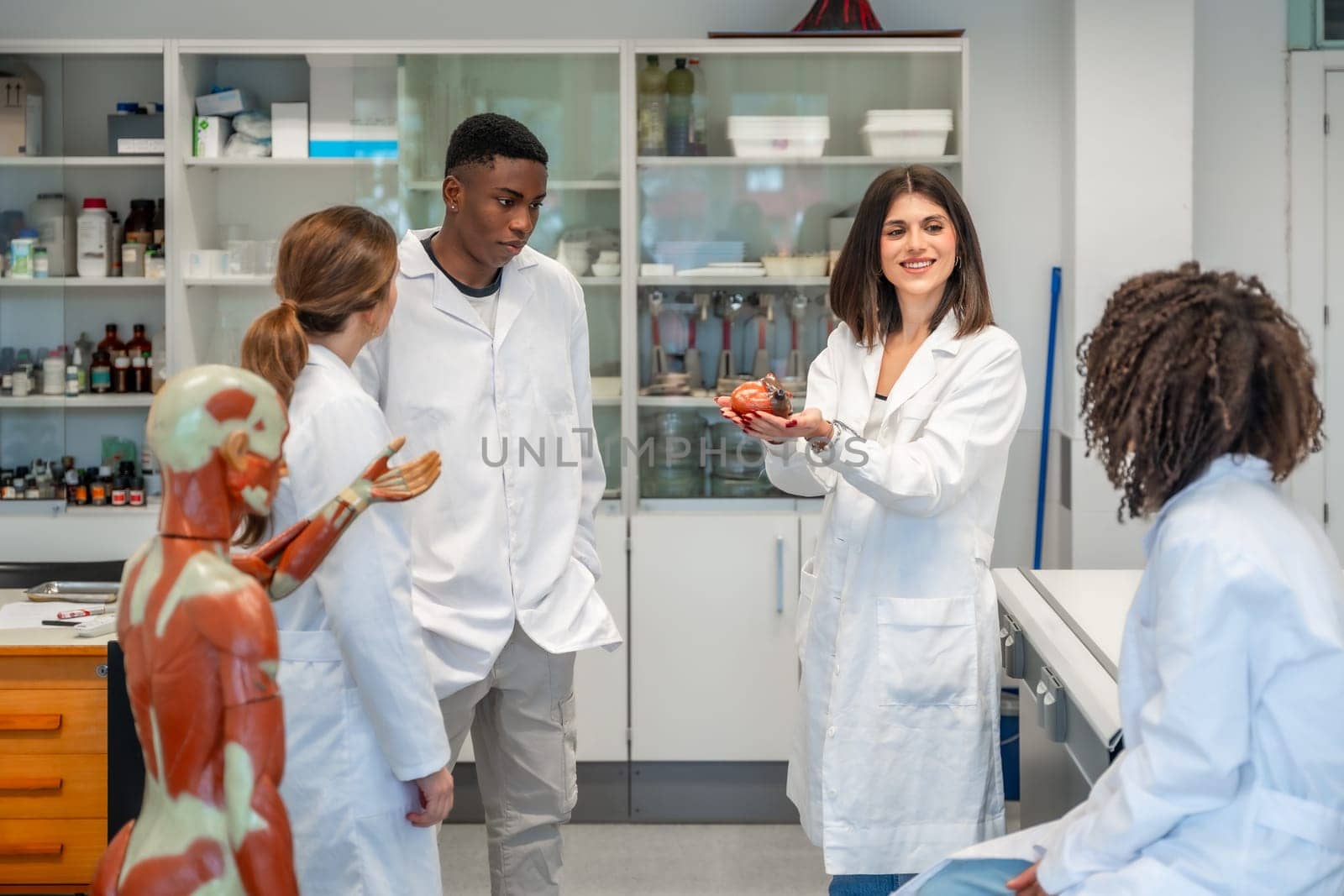Professor showing anatomical model of human heart to medical students during anatomy class in university laboratory