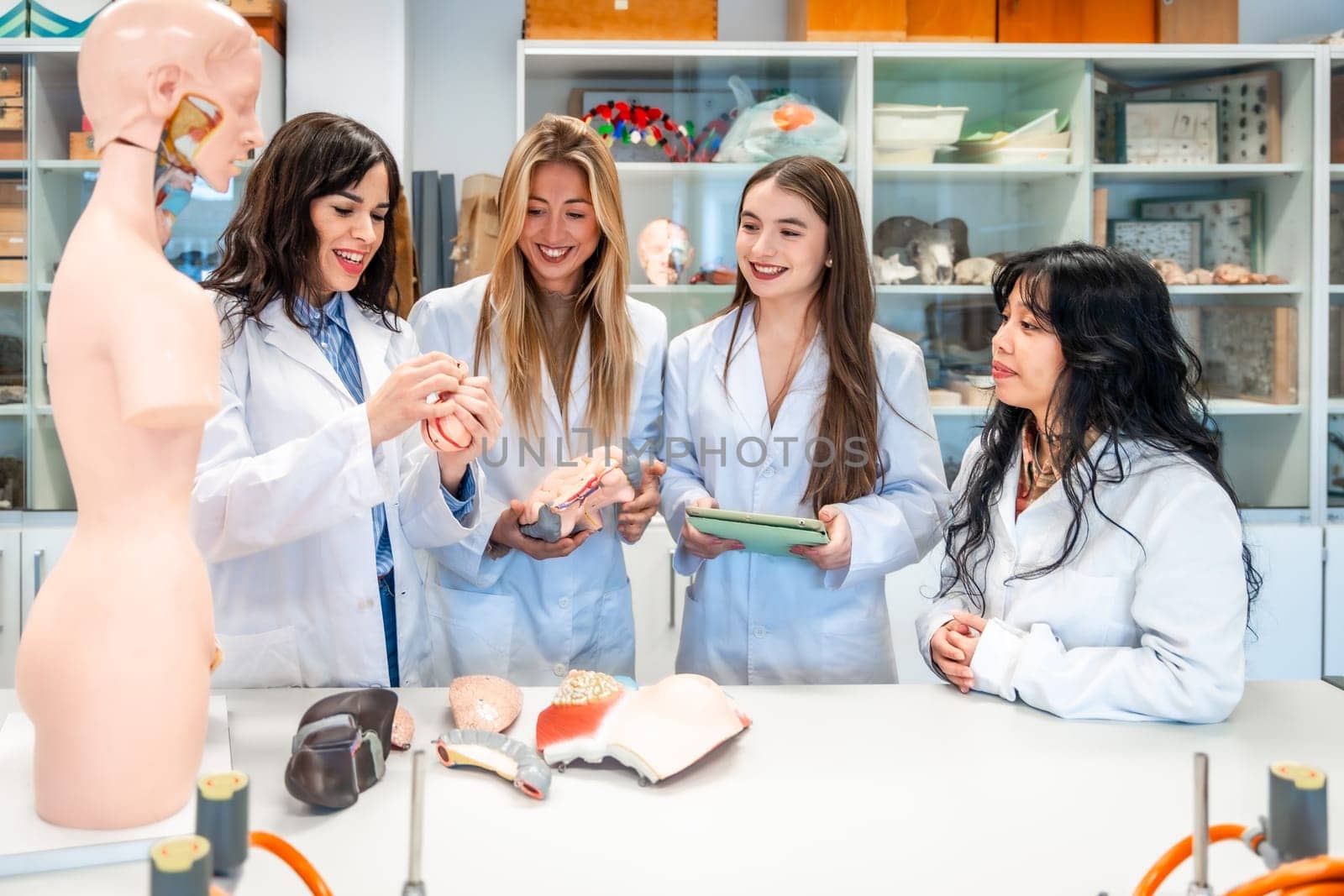 Four smiling female medical students examining anatomical models in a university laboratory, learning about human body systems