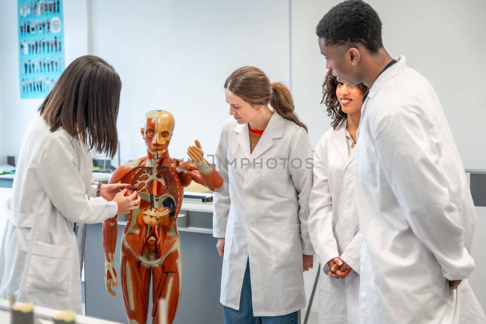 Medical students engaging in hands on learning of human anatomy with an anatomical model in a university classroom setting