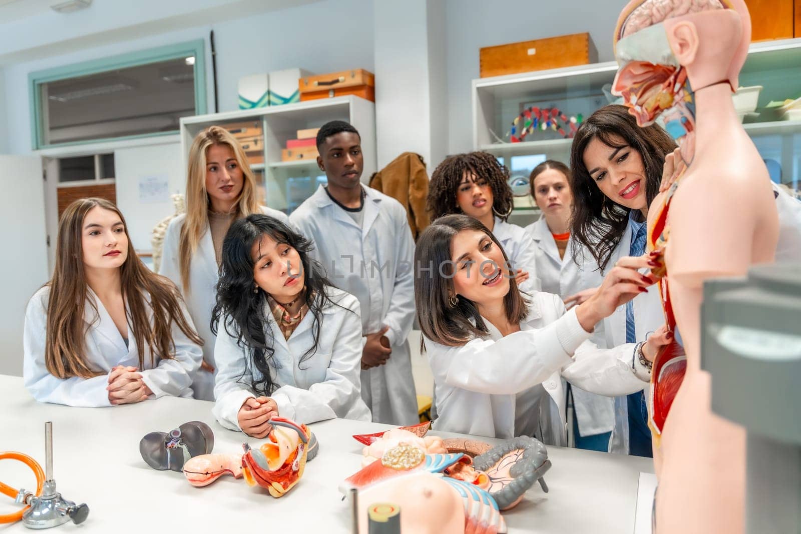 Medical students and professor learning human anatomy using anatomical models in a university laboratory