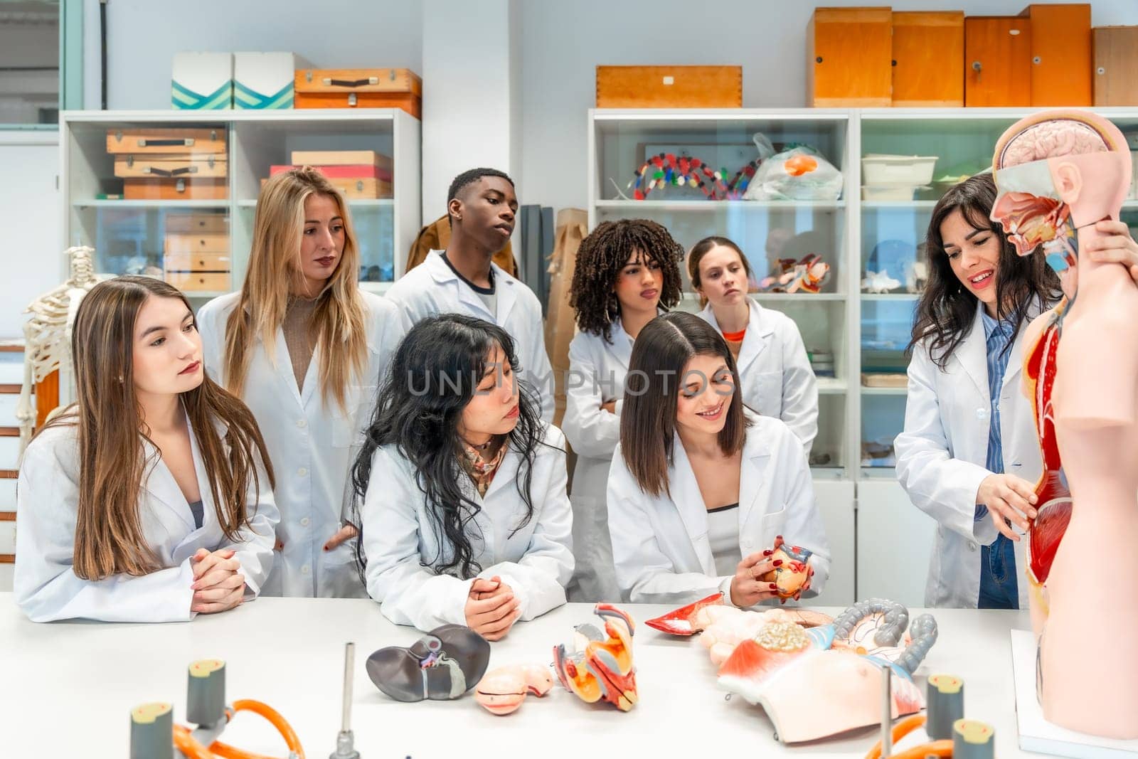 Group of diverse medical students learning human anatomy using anatomical models in a university laboratory