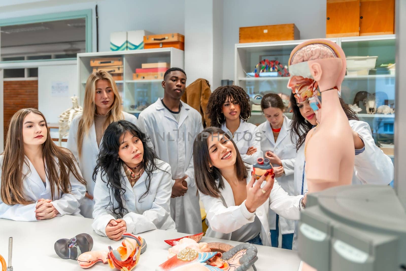 Group of diverse medical students learning human anatomy using anatomical models in a university laboratory
