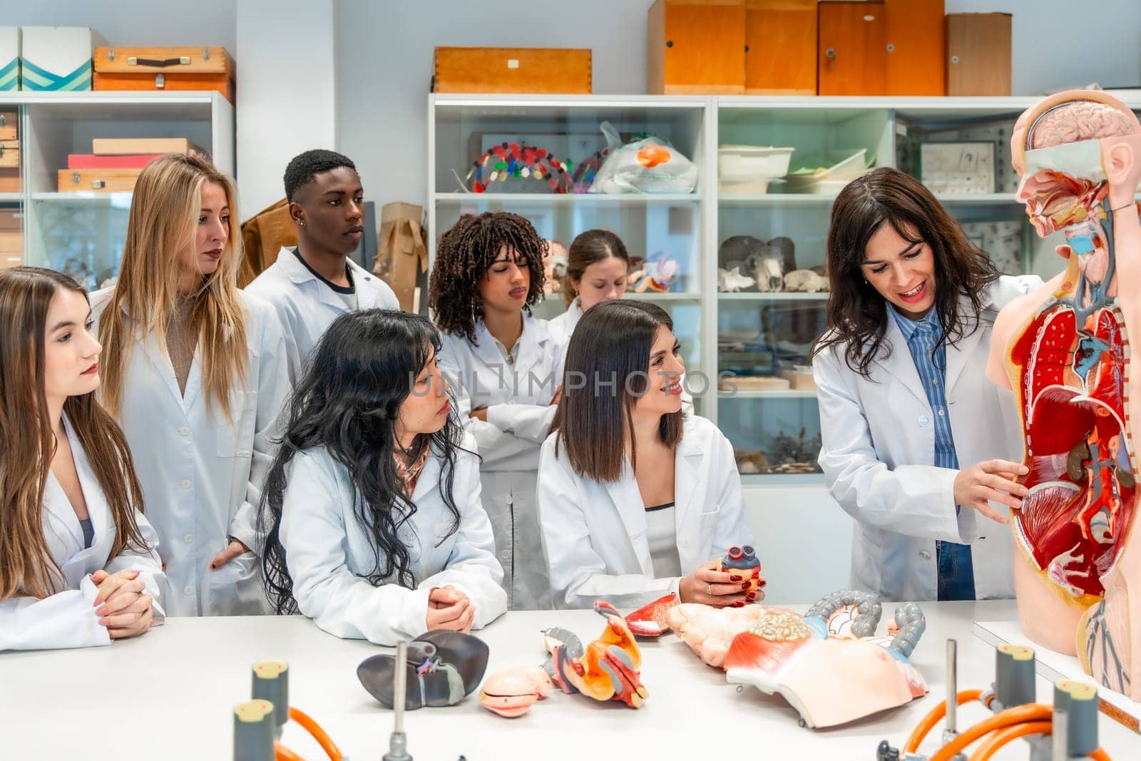 Professor explaining human anatomy to diverse medical students using anatomical models in university laboratory