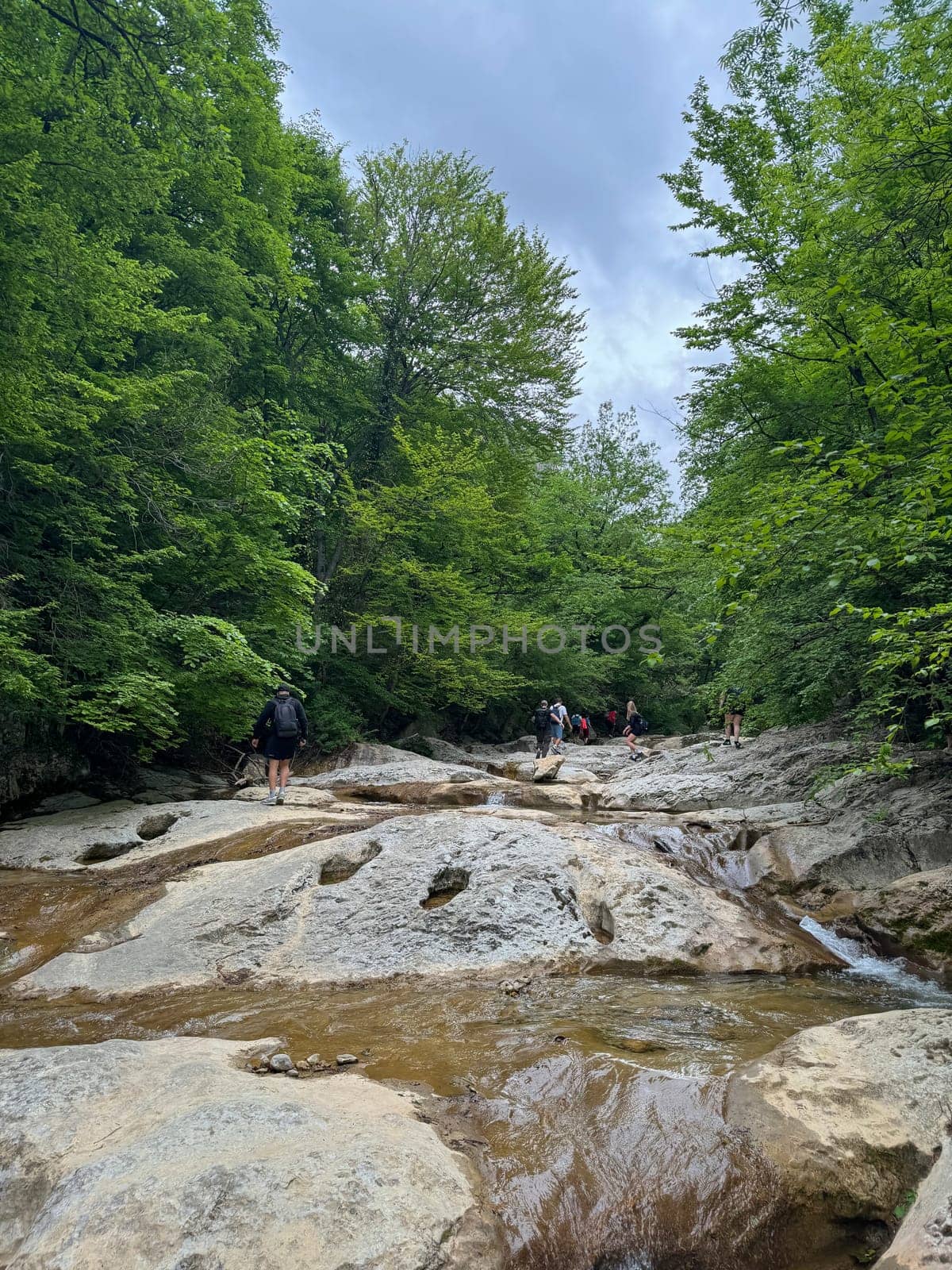 hikers climbing a mountain along a forest path on a hike