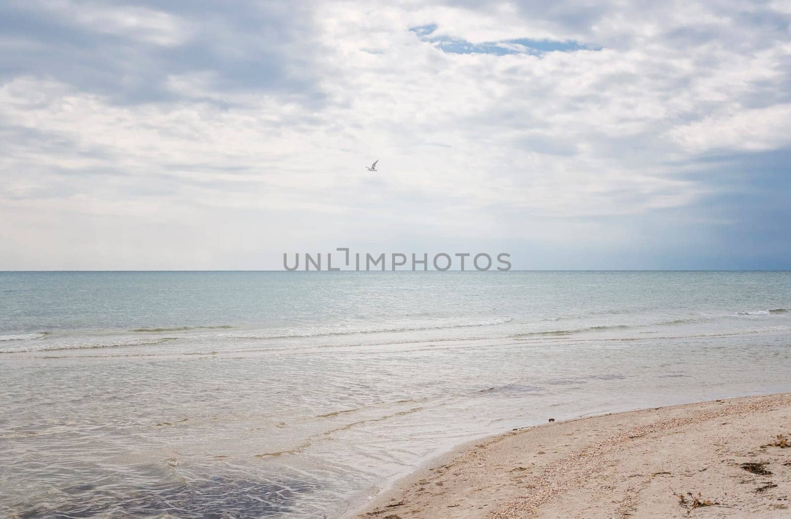 picturesque summer beach with white sand, blue sea and rich sky. sea horizon goes into the distance. ideal summer location with a beach on the sea coast. beautiful glare of the sun on the sea surface