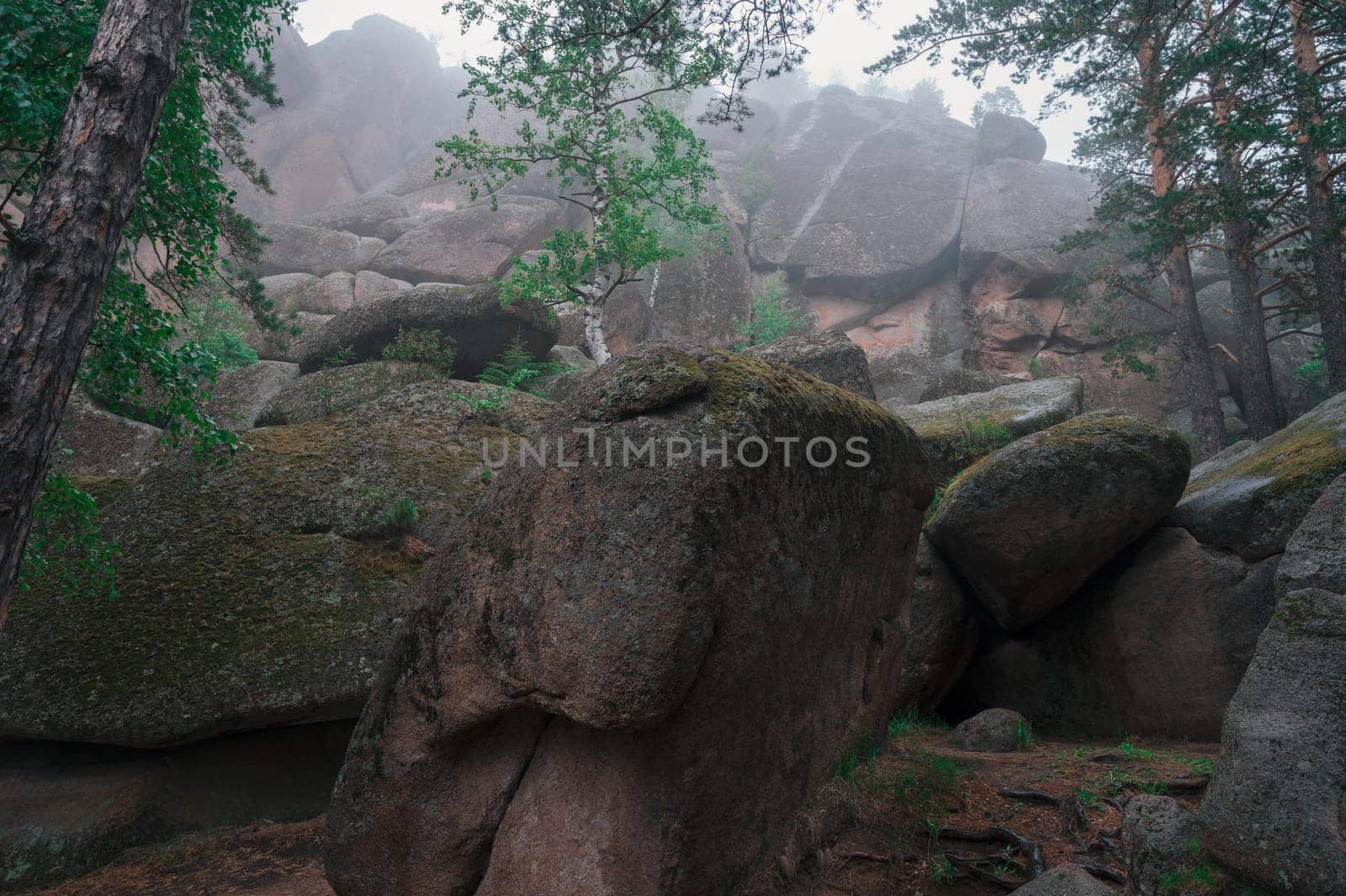 Taiga forest and rocks of the Stolby nature reserve park, Krasnoyarsk, Russia