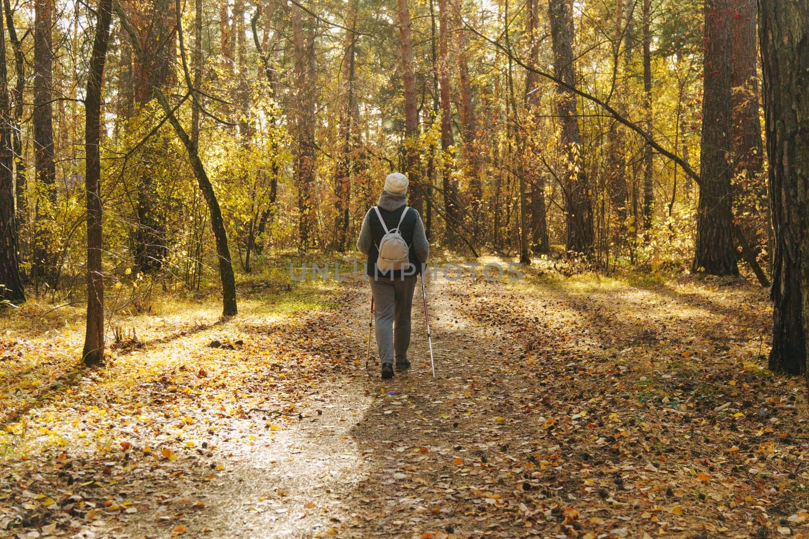 Embracing the beauty of autumn while Nordic walking through a serene forest trail surrounded by colorful foliage
