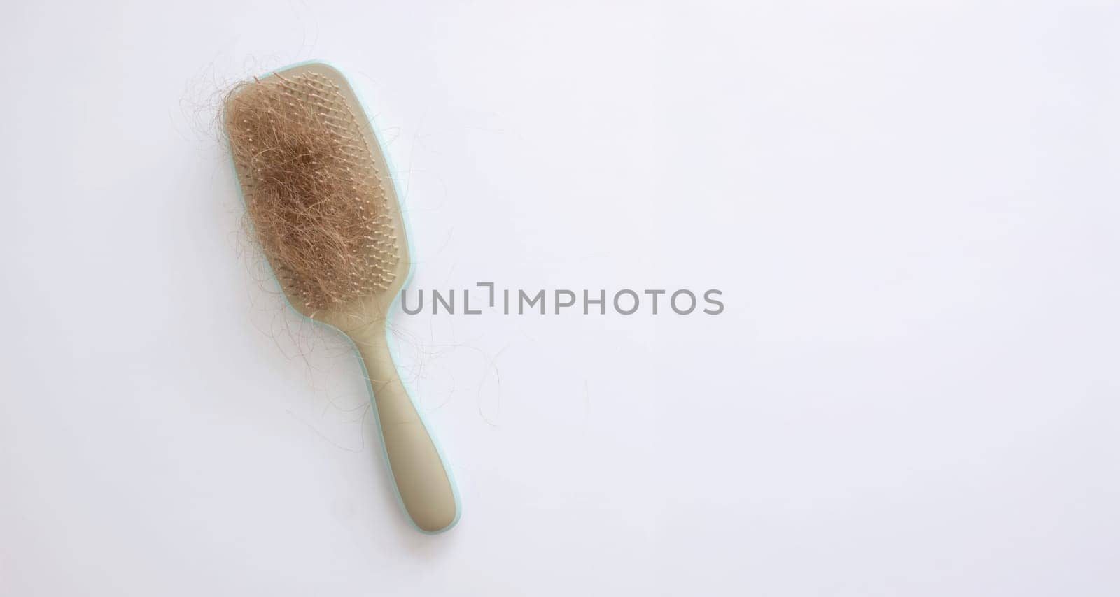 hairbrush and hair on it.hair loss