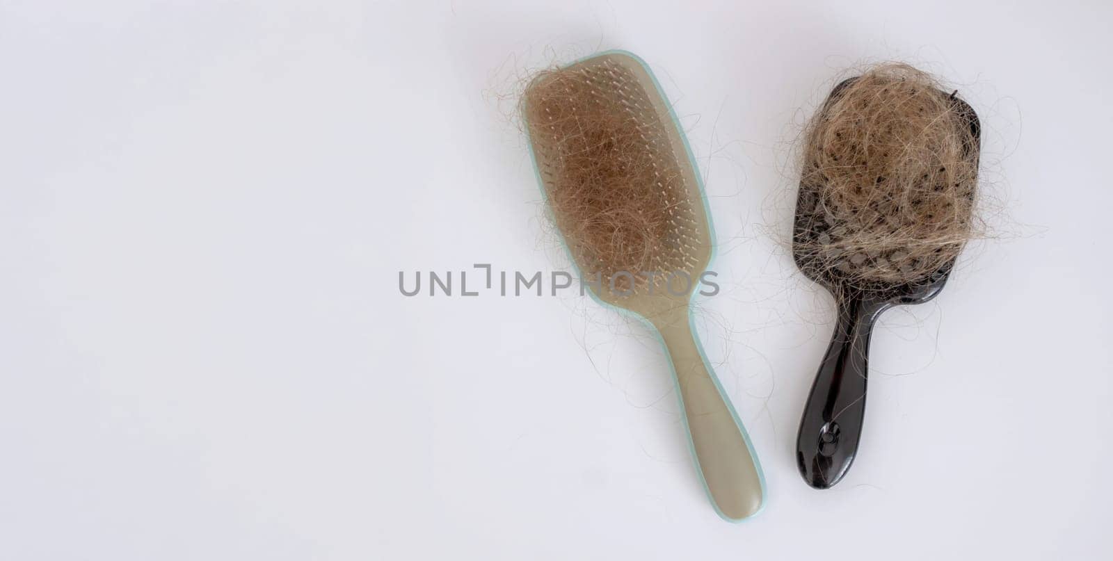 hairbrush and hair on it.hair loss