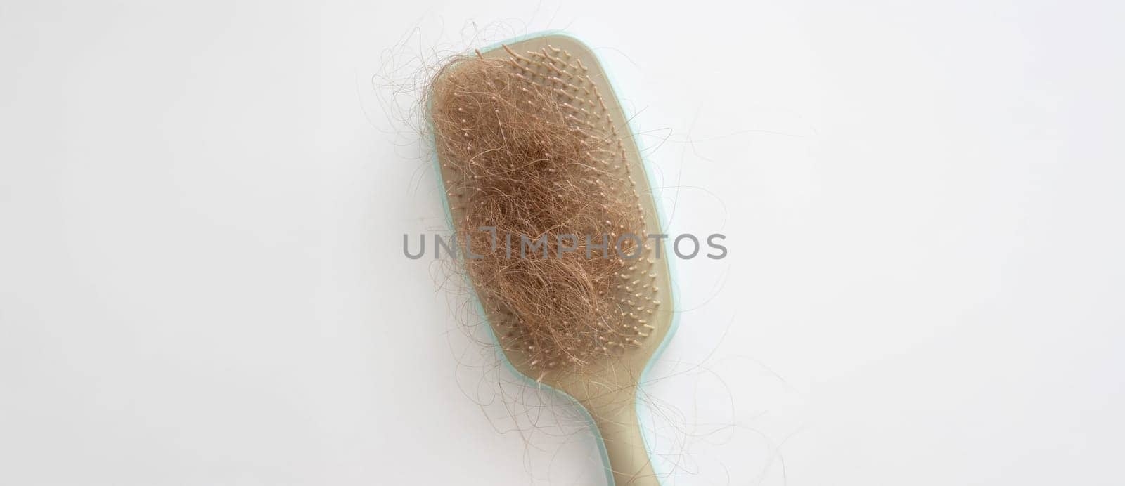 hairbrush and hair on it.hair loss