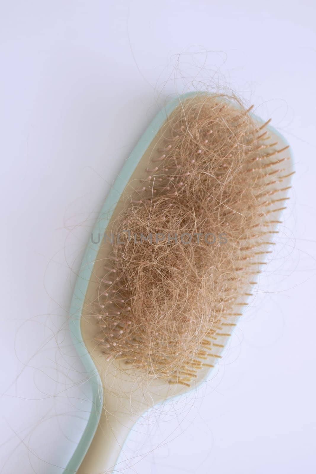 hairbrush and hair on it.hair loss