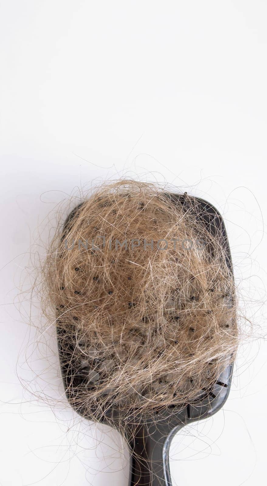 hairbrush and hair on it.hair loss