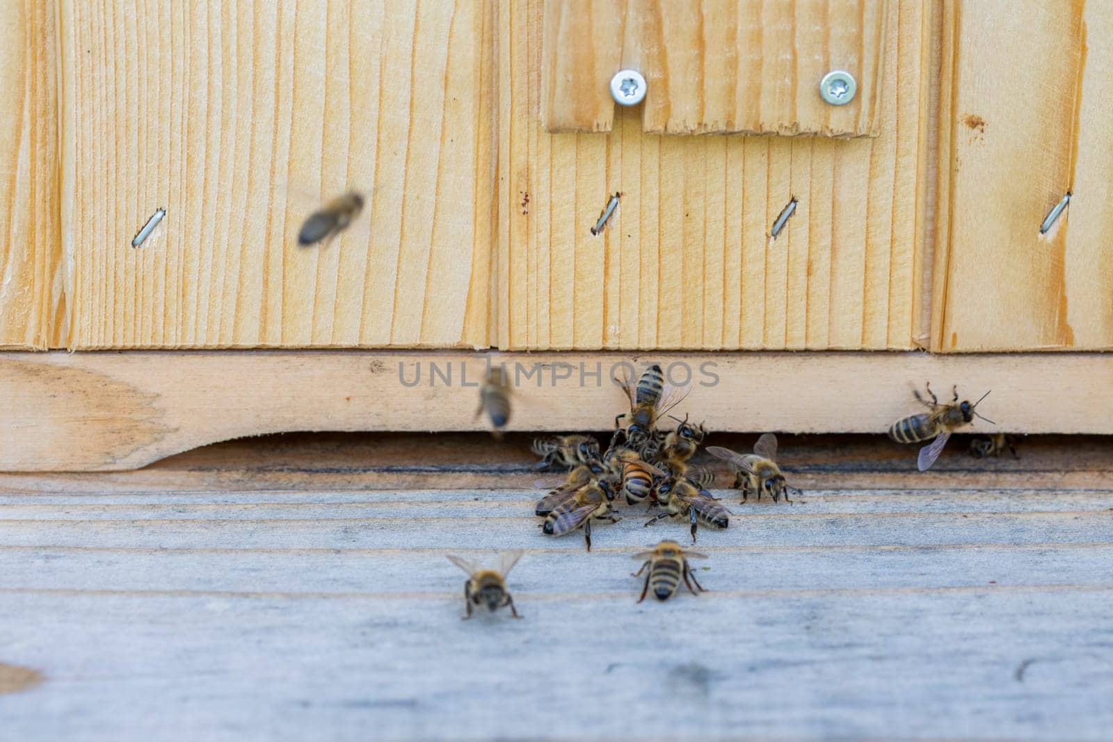 A vibrant and lively scene showcasing bees diligently flying around a rustic wooden beehive in nature