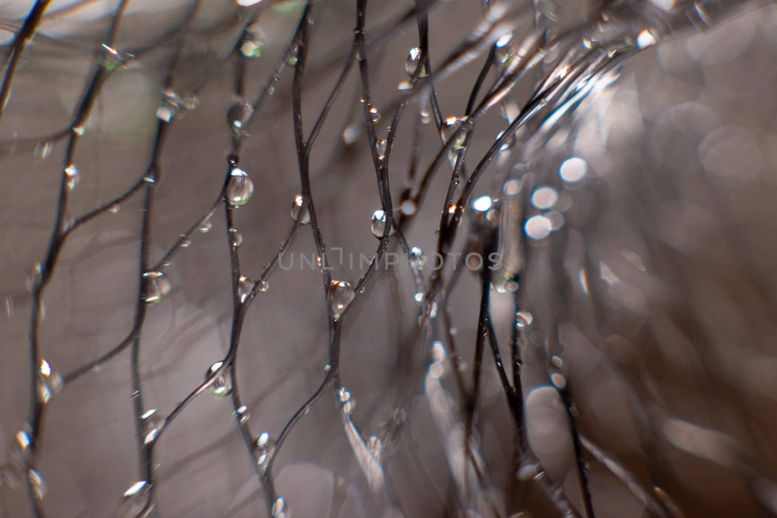 drops of water on a black mesh on a blurred gray background. Abstract background. Selectiv focus