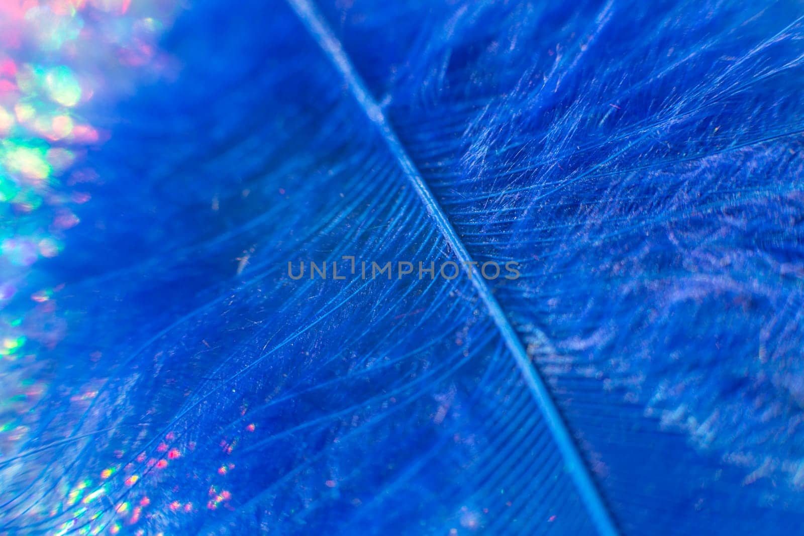 Fluff of blue feather bird close up.