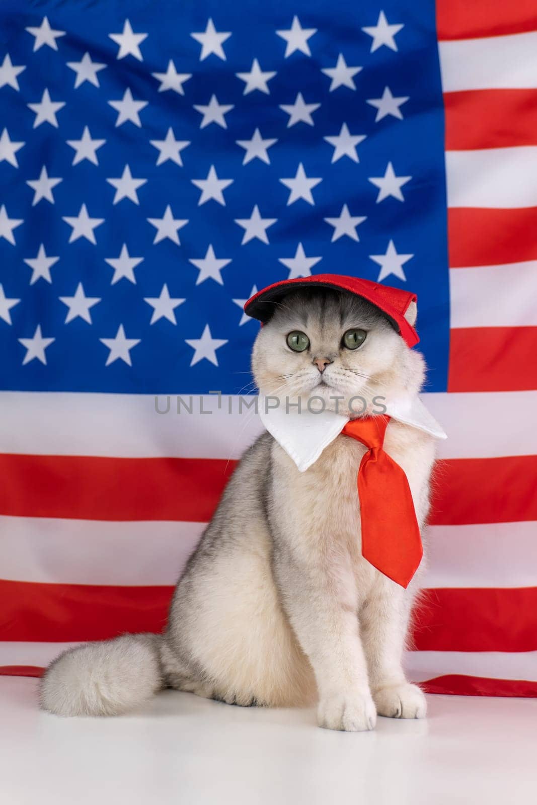 Patriotic cat wearing red tie and cap with american flag background.