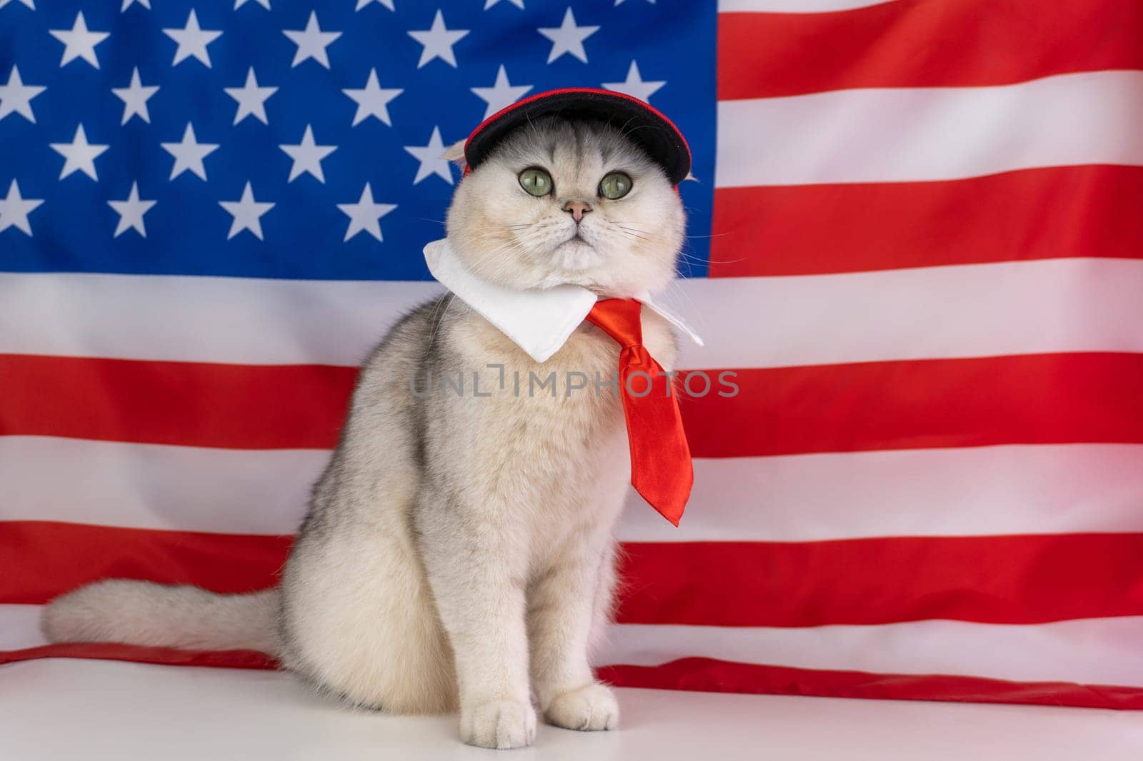 Patriotic cat dressed in red tie and red hat with american flag background.