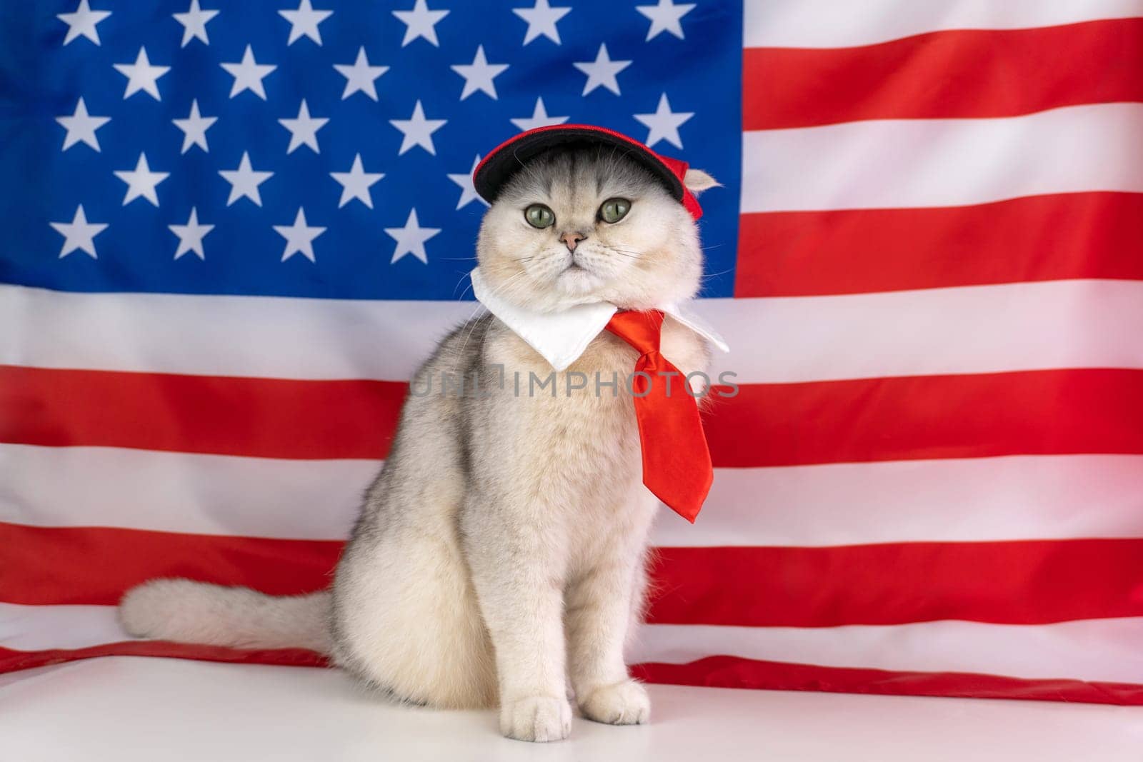 Patriotic cat with red tie and red cap in front of american flag.
